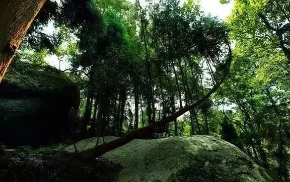 周末龙山景区心灵绿色之旅，探寻秘境，逃离都市喧嚣