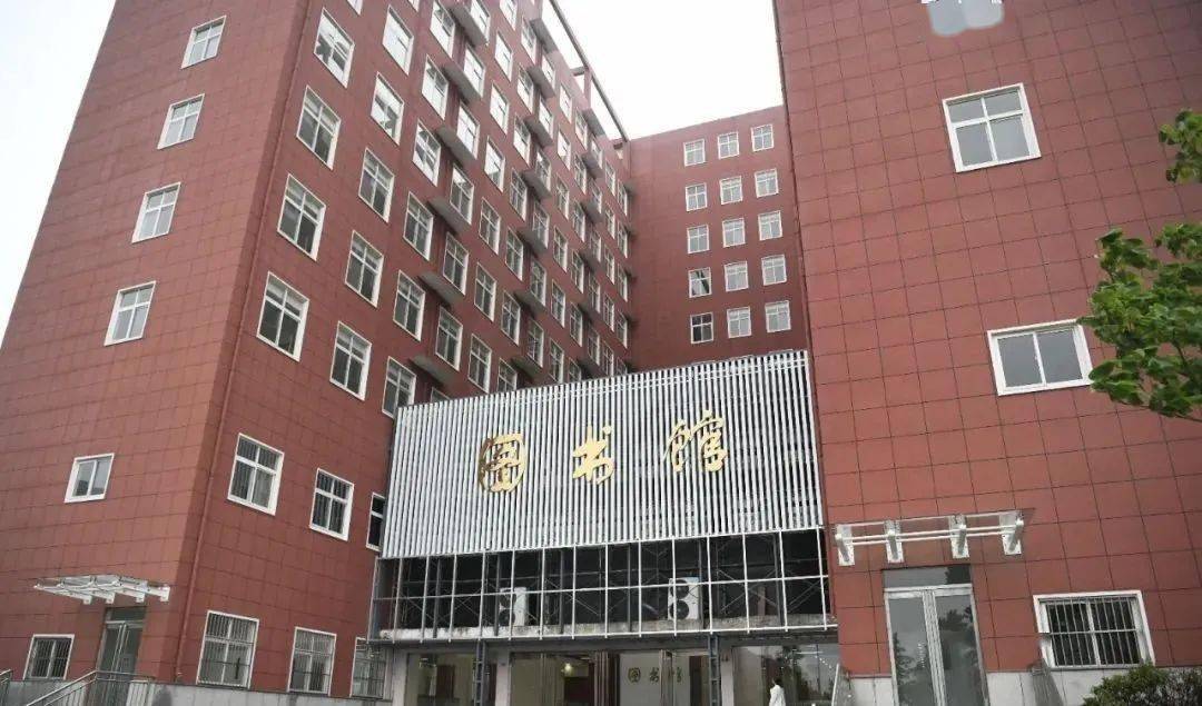 合肥最新厨师招聘信息揭秘，行业现状、各方观点与个人选择