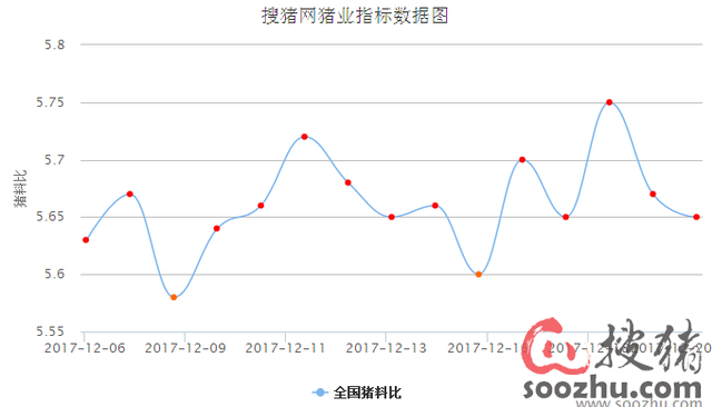 12月生猪行情深度解析与展望，洞悉市场走势