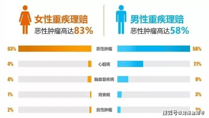 揭秘周董最新MV制作之旅，跟随历史脚步的体验之旅