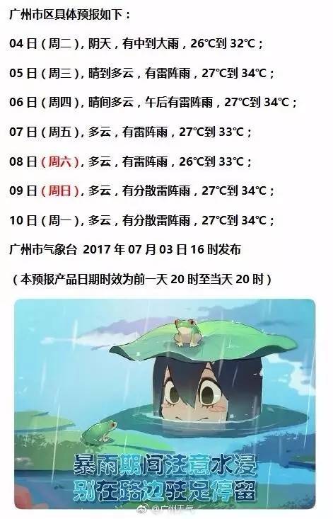 回顾与展望，励志风暴再起背后的故事与影响 —— 2024年热门励志说说分享