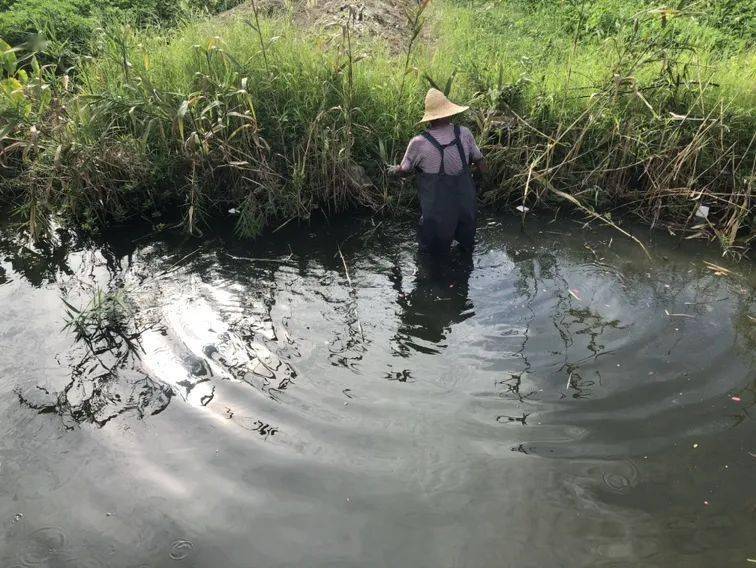 重温往日鸭兵风采，与自然美景的邂逅与内心的平和之旅