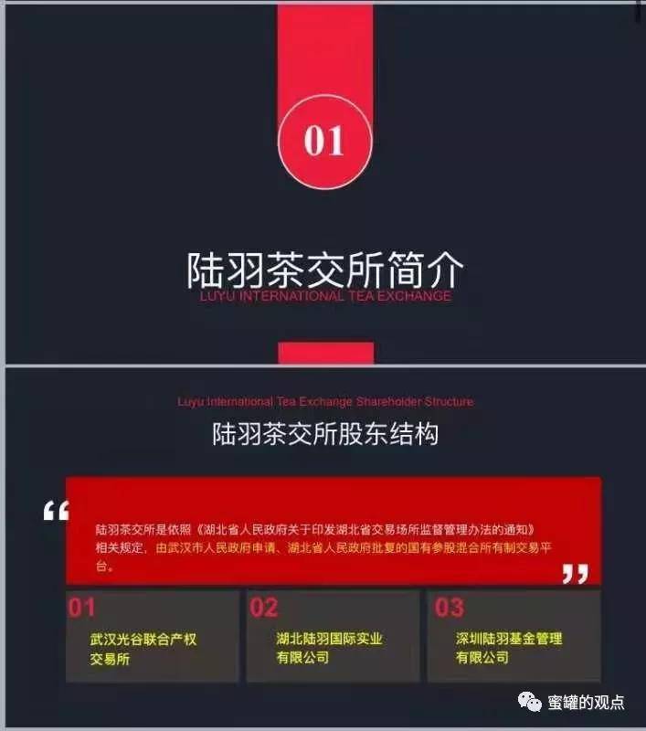 深度解读与观点阐述，陆羽茶交所最新动态及解读报告（往年12月9日）