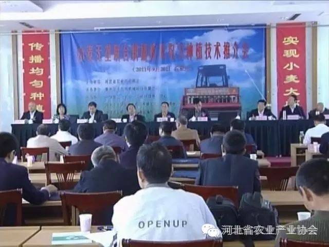 河北省沈小平逆风翱翔，奋斗足迹与未来展望