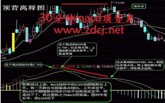 揭秘MACD实时解盘公式，金融市场的精准解读盛宴（发生在12月9日的金融瞬间）