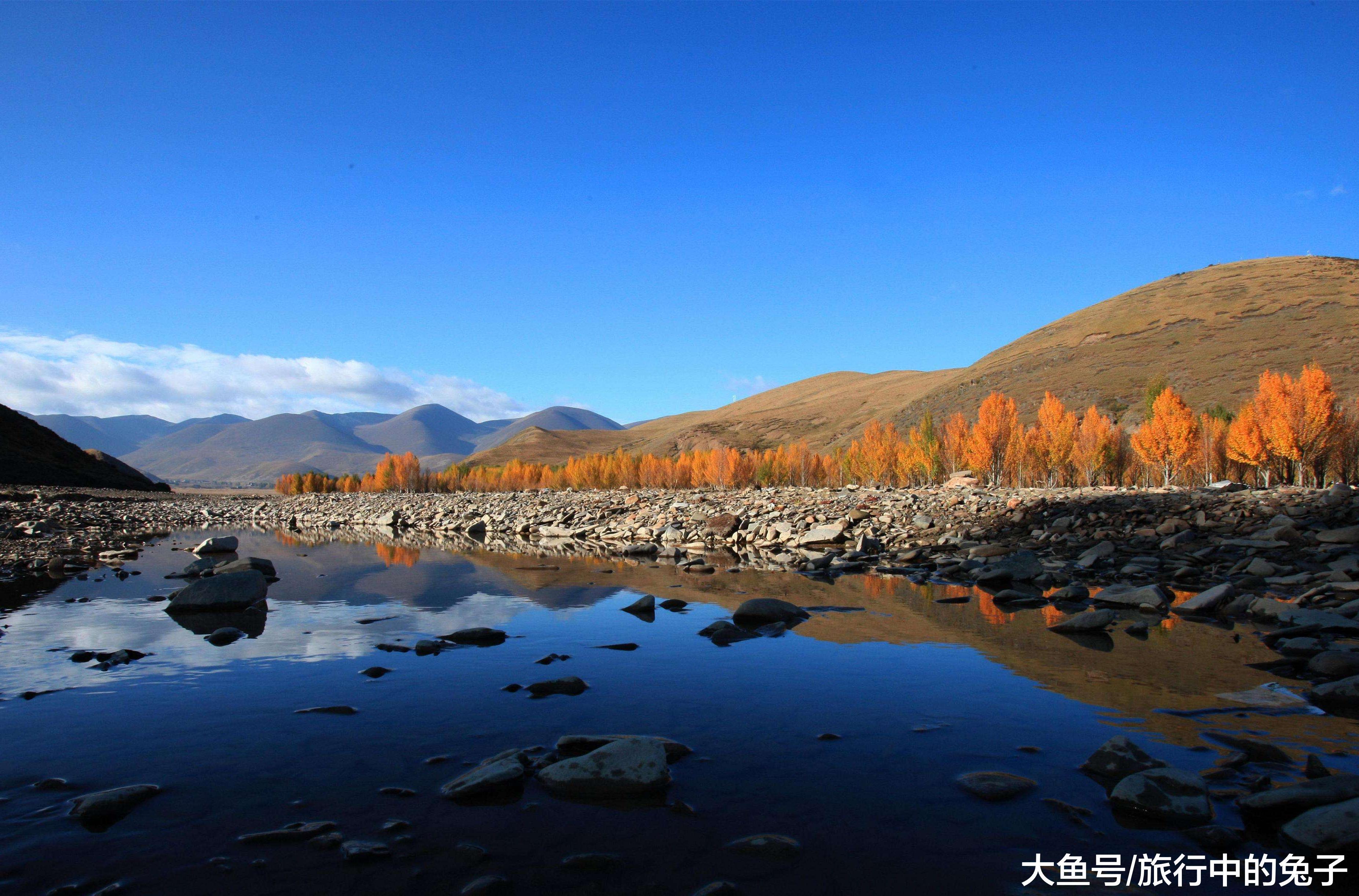 亲历自然，探寻秘境，亚丁稻城导游2024年实时直播之旅