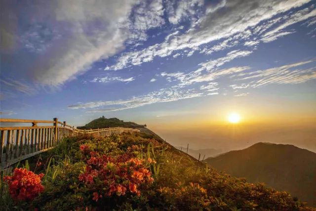 探索自然奥秘，安顶山实时监控下的实时美景探索