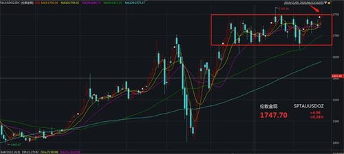 掌握数据动态，实时曲线图网页洞悉未来趋势