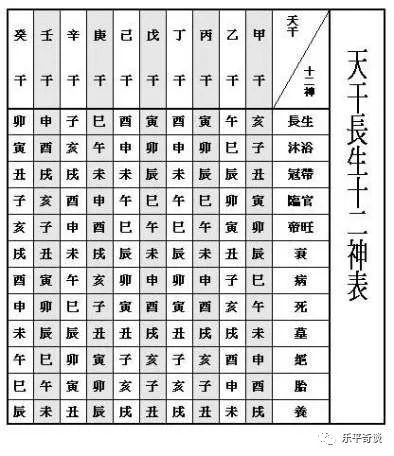 时空穿梭新纪元，揭秘智能科技产品实时净值系统魔力与智能净值体验之旅