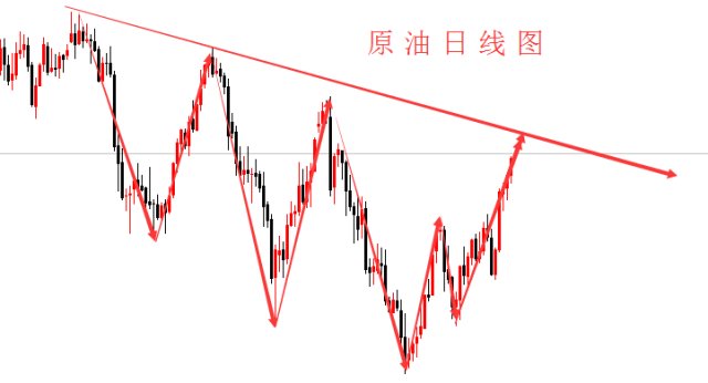 昌邑老黄姜价格走势大揭秘，最新行情分析！