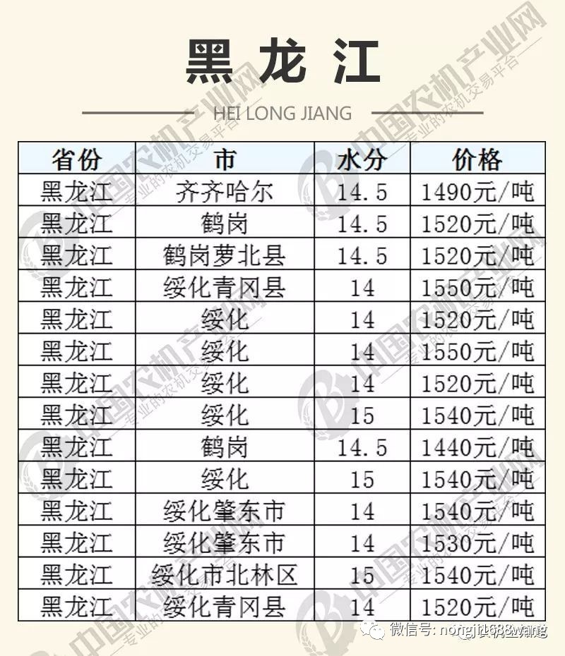 荷泽玉米市场走势分析，最新行情动态一网打尽！