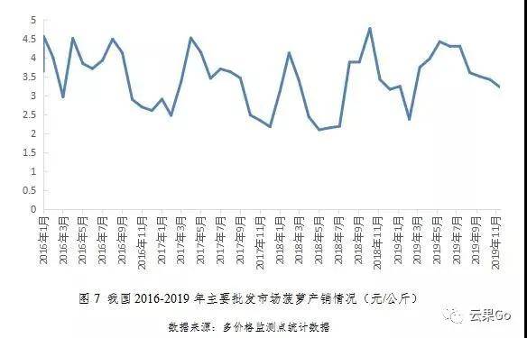 驼背鸟价格走势揭秘，品种差异与市场影响因素分析