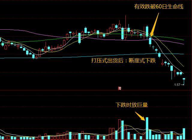 揭秘股市背后的力量，主力资金深度解析