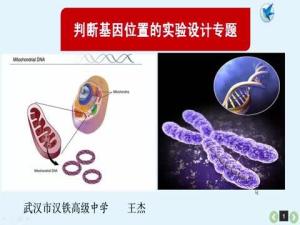 基因位置的判断专题，基因位置的表示方法 