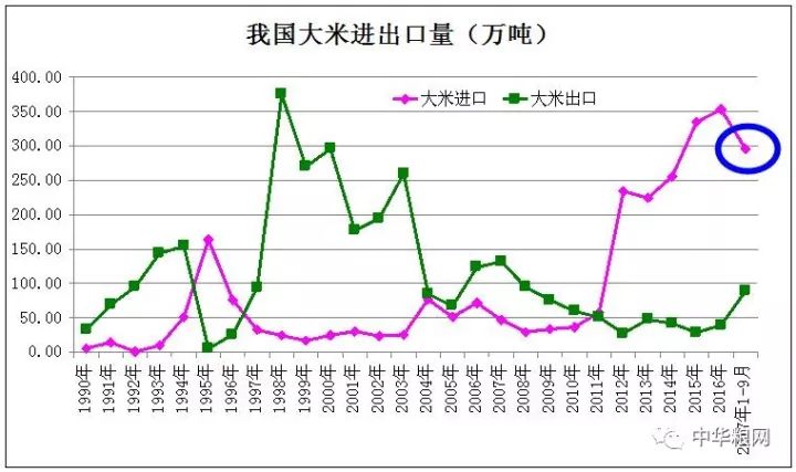 荔县稻谷种子价格走势深度解析