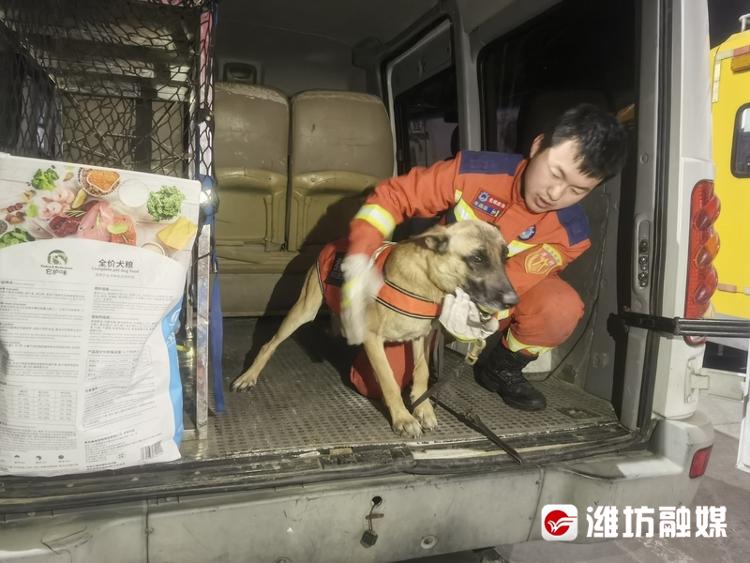 潍坊地震最新消息今日汇总，全面解读最新动态