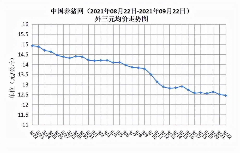 海阳今日猪价走势分析，最新行情及未来预测