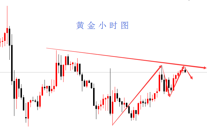 今日武德市场走势解析，最新行情一览