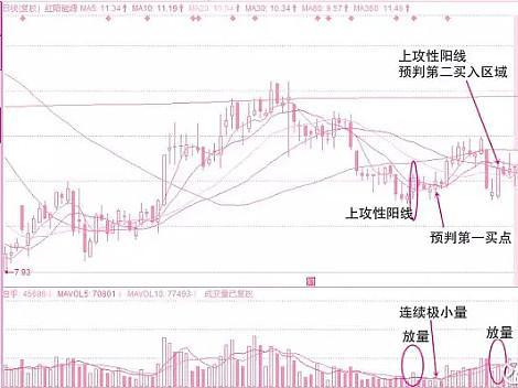 股票交易策略，每日买卖决策的关键考量因素