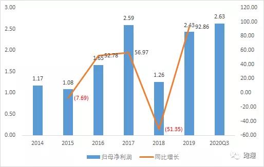 股票增长类型深度解析