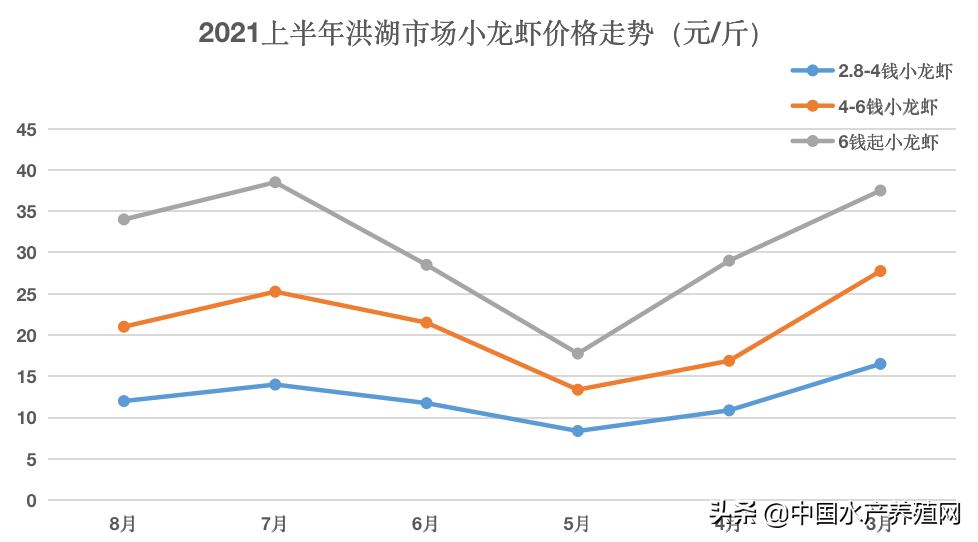 今日龙虾市场揭秘，最新价格、市场走势与消费者反应一网打尽！