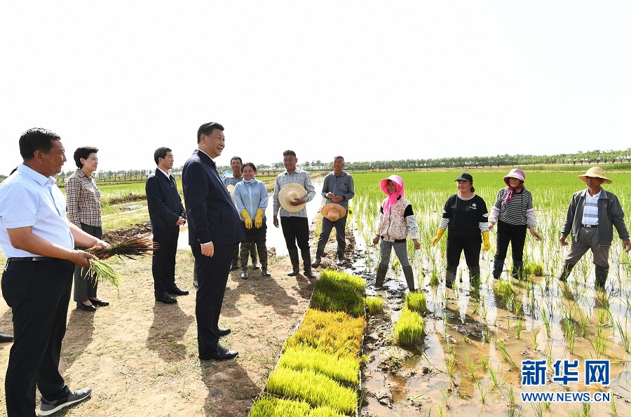 师宗农村地皮最新出售信息速递