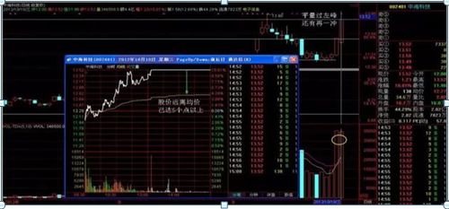 股票投资中的断头风险详解及应对策略，案例剖析与启示