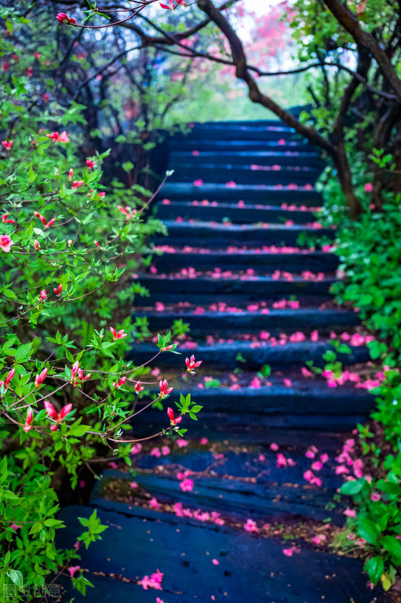 独家记忆送错花，独家记忆 gai 