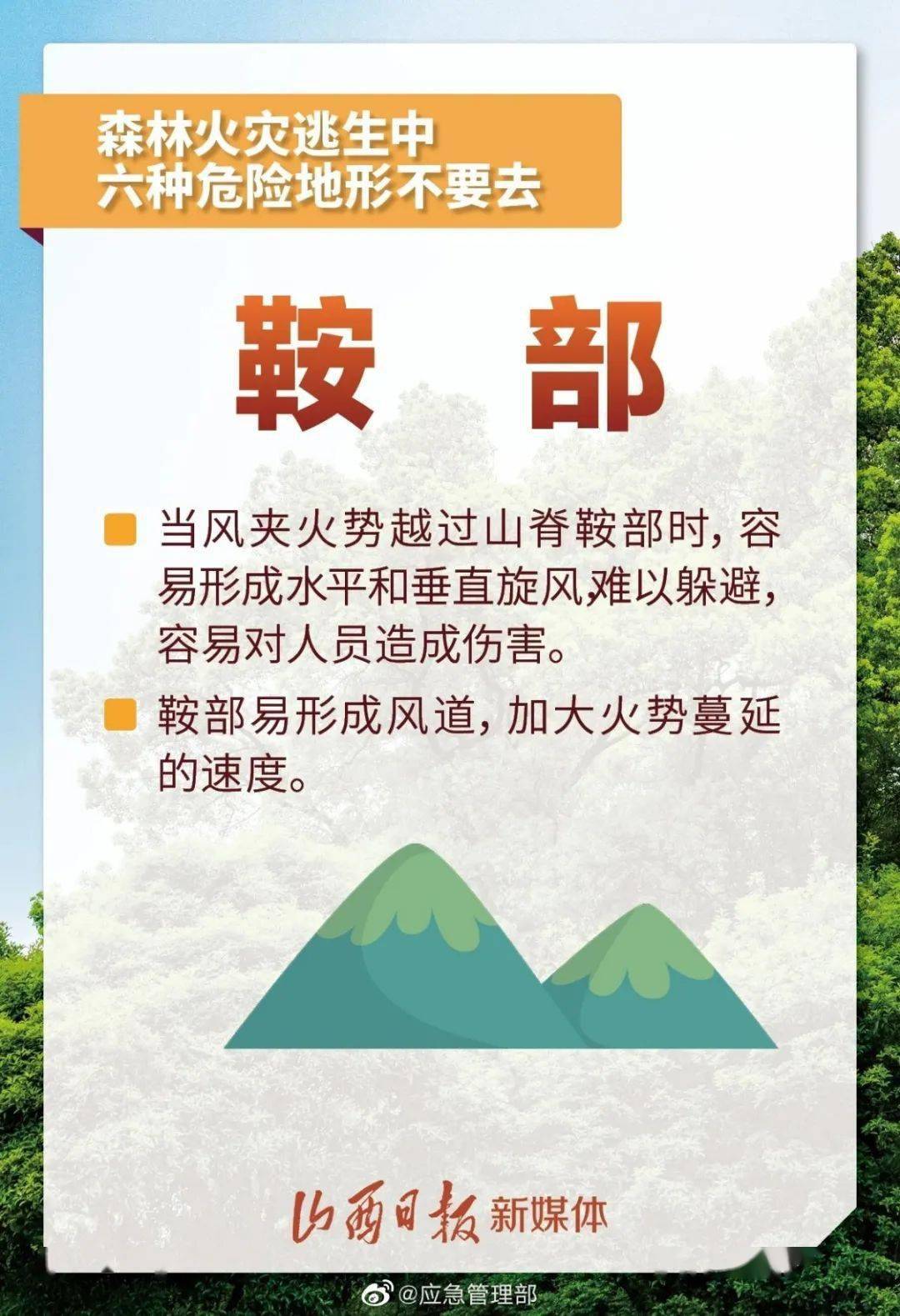 森林灭火最新方案与流程揭秘，高效应对，守护绿色生命线