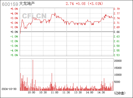 31日大龙地产最新消息详解，跟进与理解相关动态全攻略