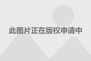 今日国际油价变化背后的励志故事，成长、自信与奋斗旋律