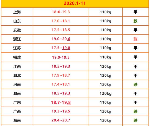 揭秘宁陵最新猪价动态，11月市场分析及预测