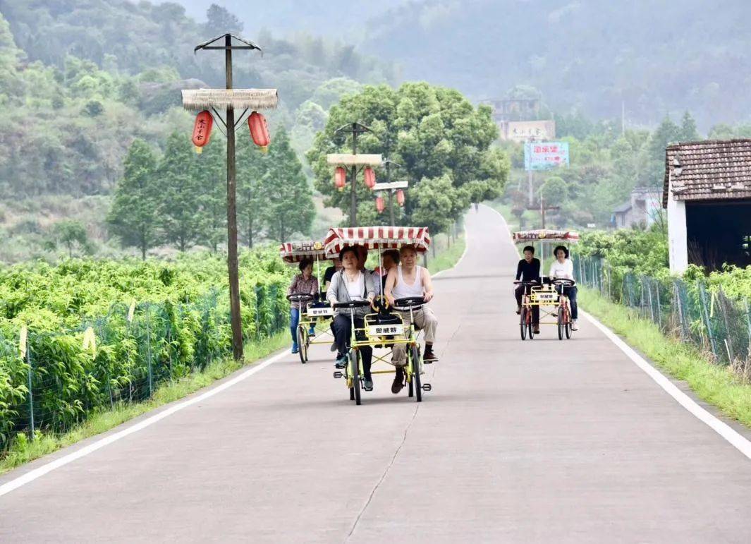 台骥山下温馨日常与奇遇相伴的十一月一日