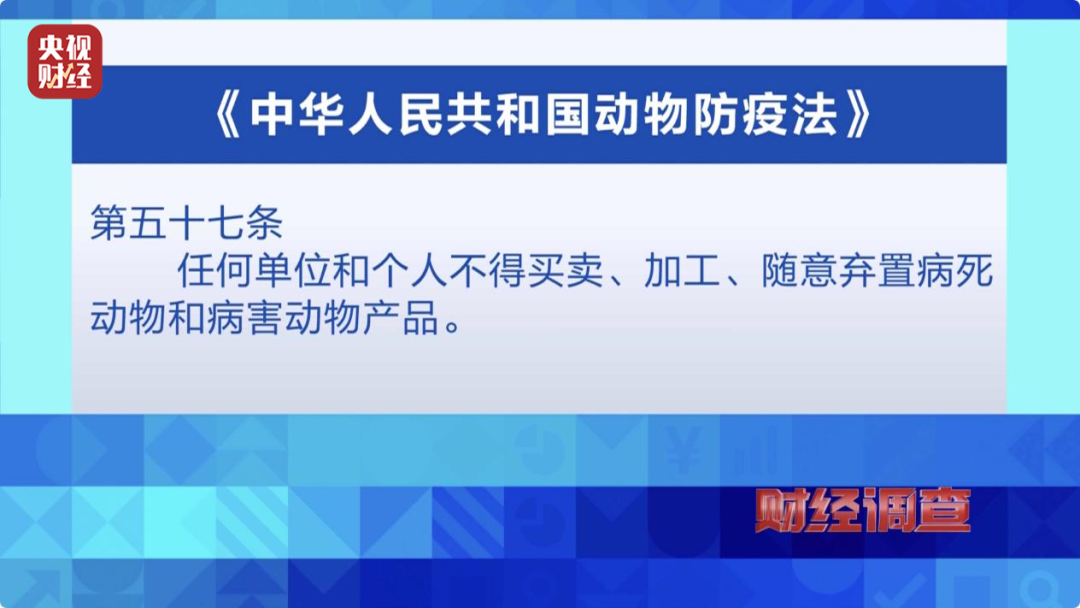 新澳门开奖现场+开奖结果直播_最新抽血针,实地考察数据分析_文档9.10.68