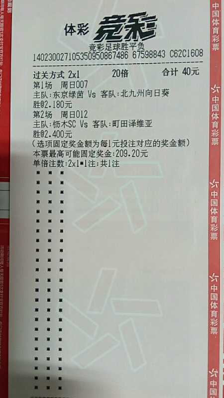 2023澳门码今晚开奖结果记录_陆白与安夏儿最新章节,实地执行数据分析_荣耀版4.24.93