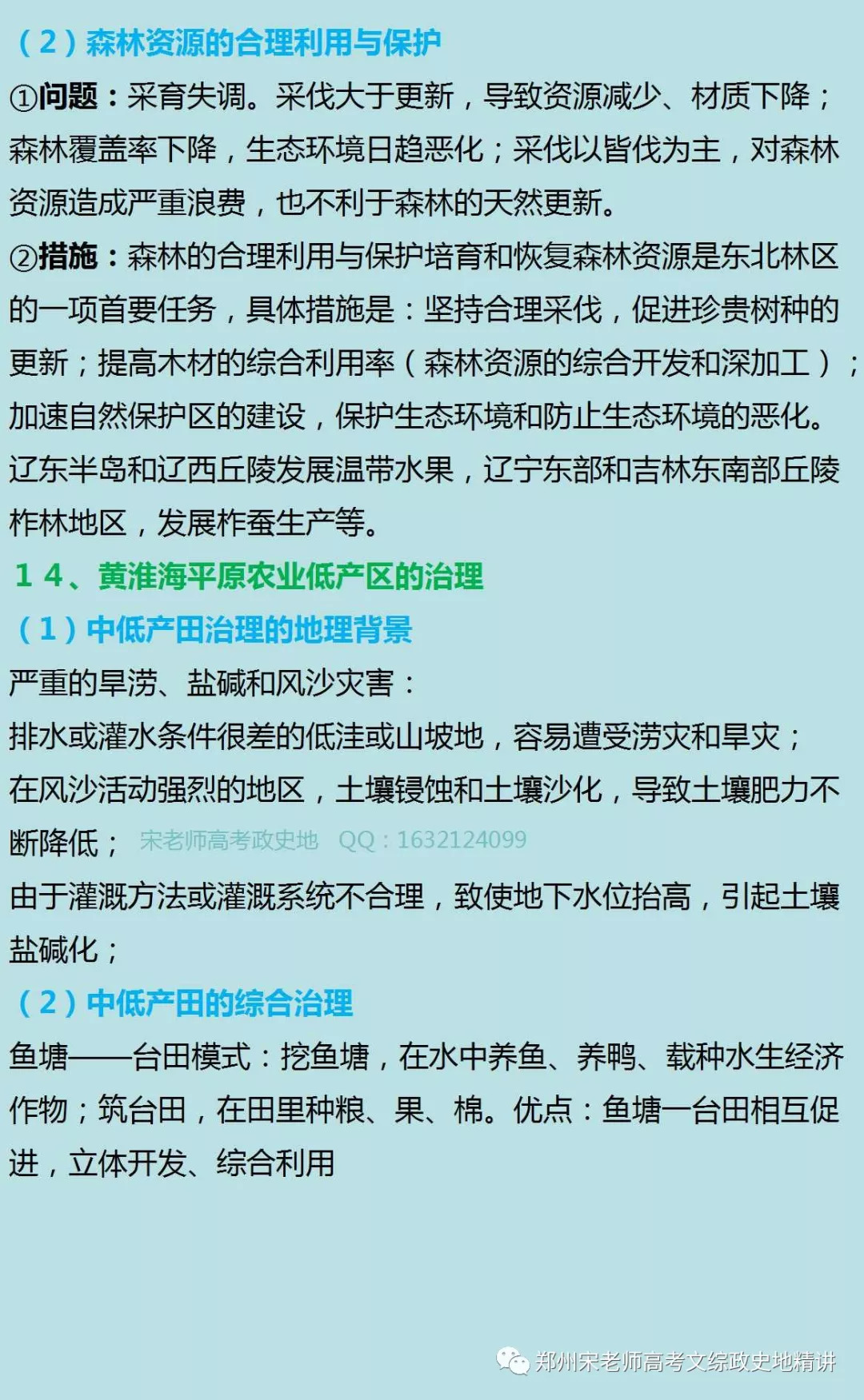 2024年11月3日 第77页