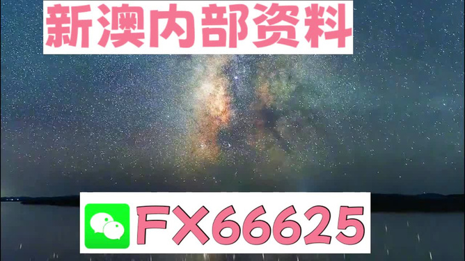 新澳天天彩免费资料大全的特点,全面数据应用执行_珍藏集78.156