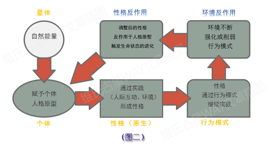 新奥免费料全年公开,完善的执行机制解析_探险品57.49