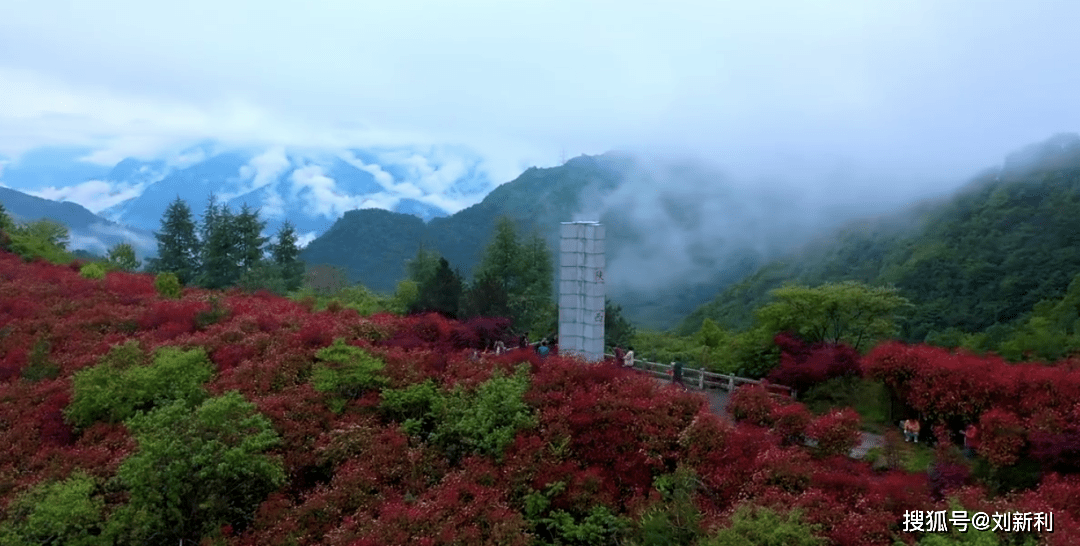 11月3日公司事件，启程探索自然美景，寻找内心宁静