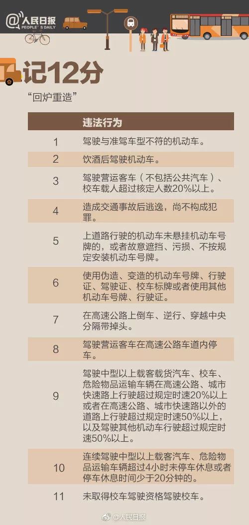 深入了解，11月5日扣分最新政策变化、影响及应对策略