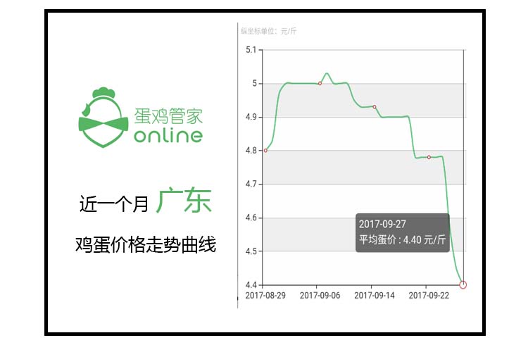 11月5日型号最新进展揭秘，革新里程碑的深度解析