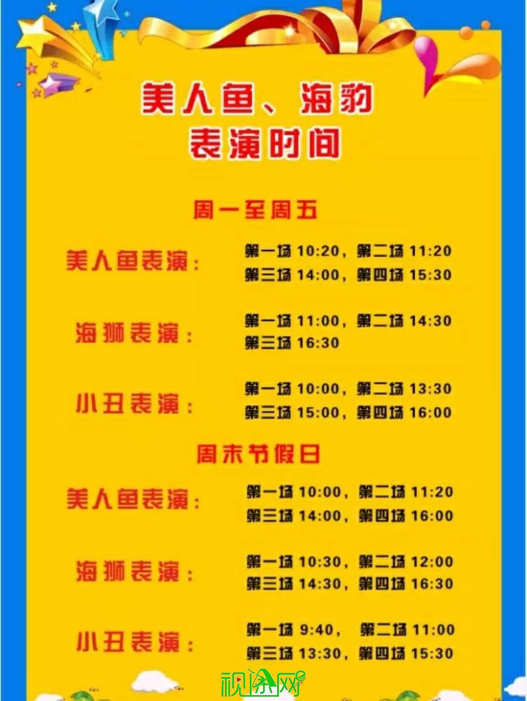 信阳龙都11月5日最新动态与行动指南