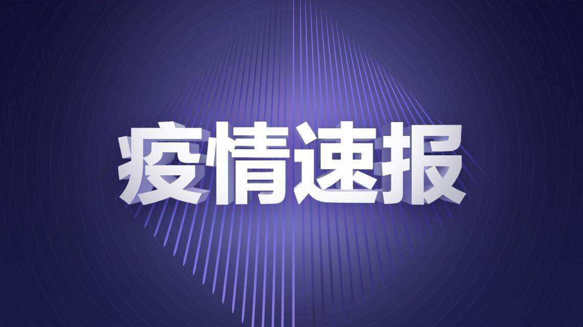 疫情下的学习变革，自信与成就感的闪耀之旅（11月最新更新）