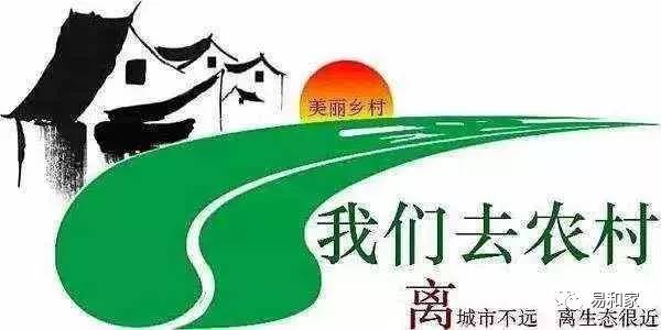 大方搬迁新篇章开启，探寻自然美景之旅的鼓舞与启示