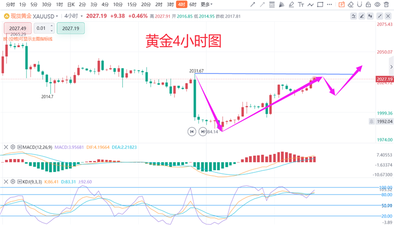 揭秘金麒麟2号最新净值，投资亮点与深度解析（11月5日）