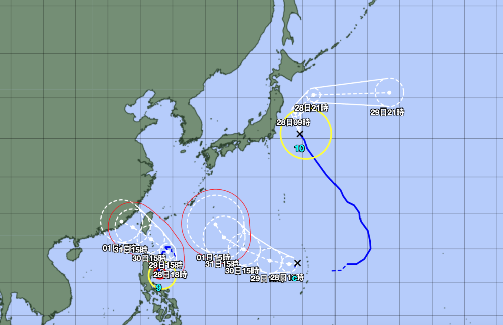 揭秘今年首个台风动态，11月6日最新台风报告与风云变幻分析