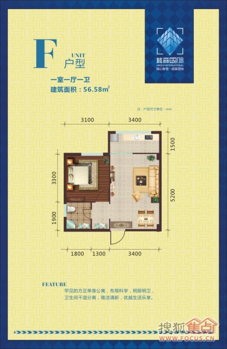 揭秘林森国际最新动态，十一月六日的重磅消息发布