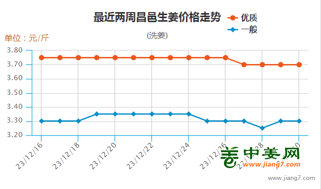 2024年11月7日 第24页