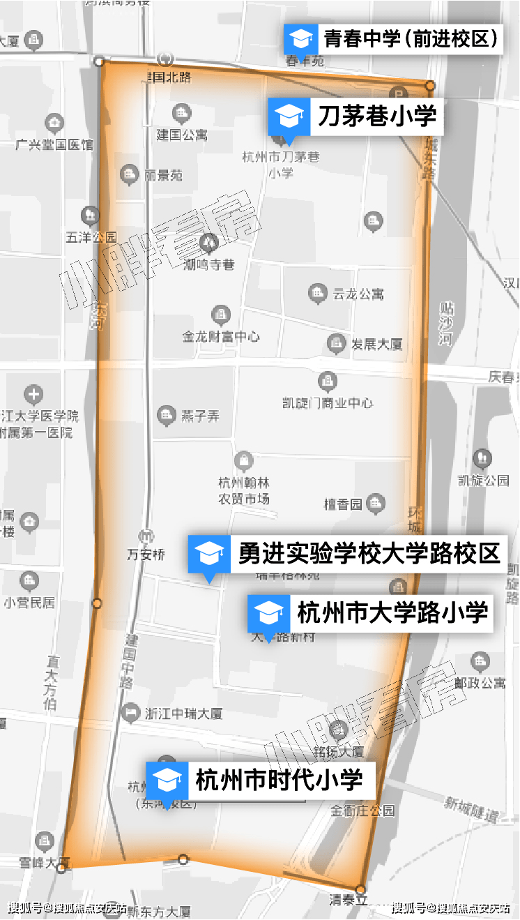 11月8日双一流大学最新消息深度解读