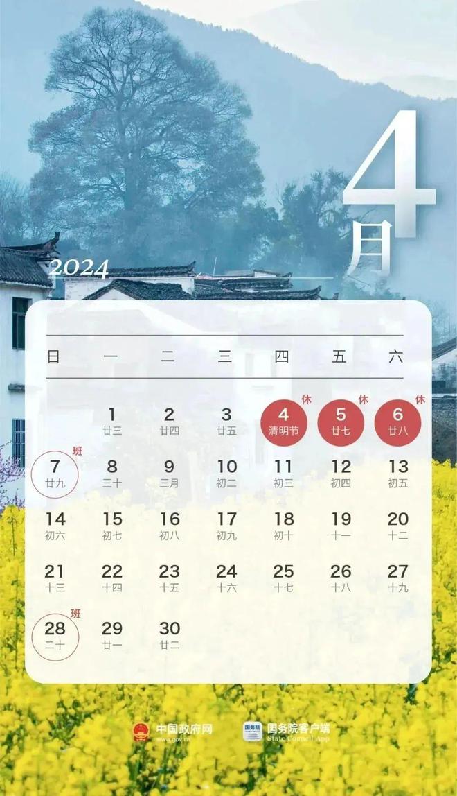 2024年11月8日对峙局势最新解析，实战指南与应对策略